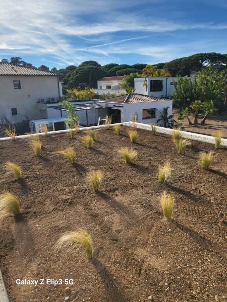 Transformation d'un toit plat en un espace vert