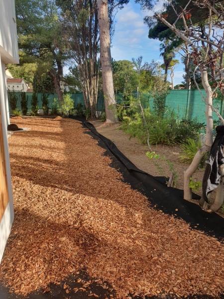Pose d'un paillage en plaquettes de bois à Hyères dans le Var