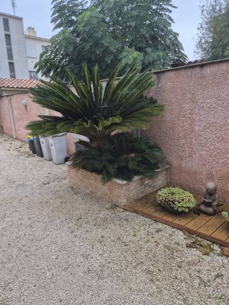 Faire appel à un jardinier paysagiste pour l'entretien d'un jardin