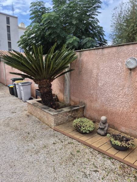 L'entretien du jardin à l'Automne conseils