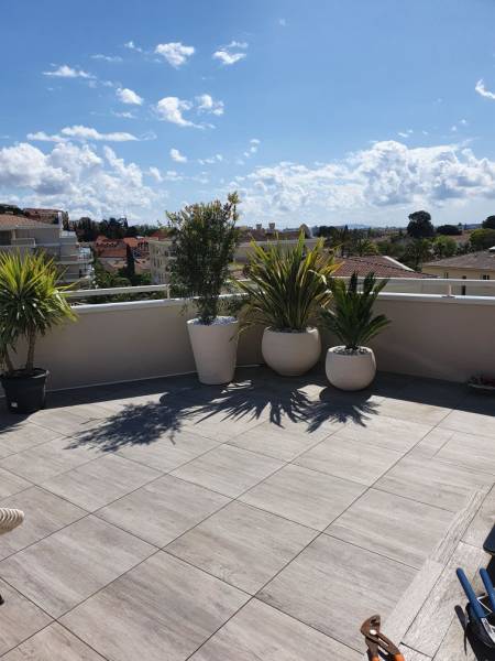 Plantation Callistémon Phormium Cycas hyères