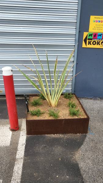 Pose de jardinières en acier corten avec plantation de végétaux devant un magasin au Pradet 83