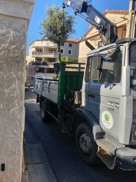 Olivier en cours de livraison