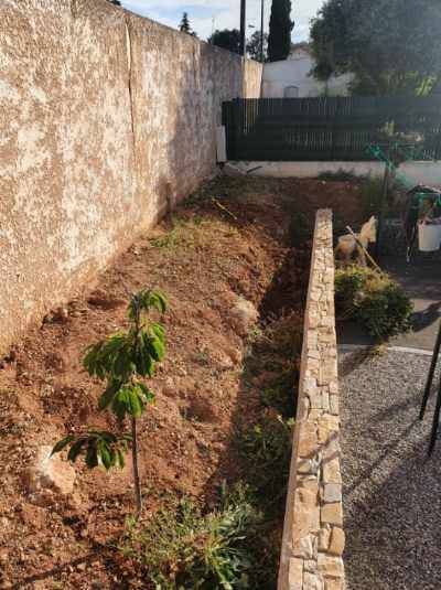 Jardin laissé en friche à la Valette du Var