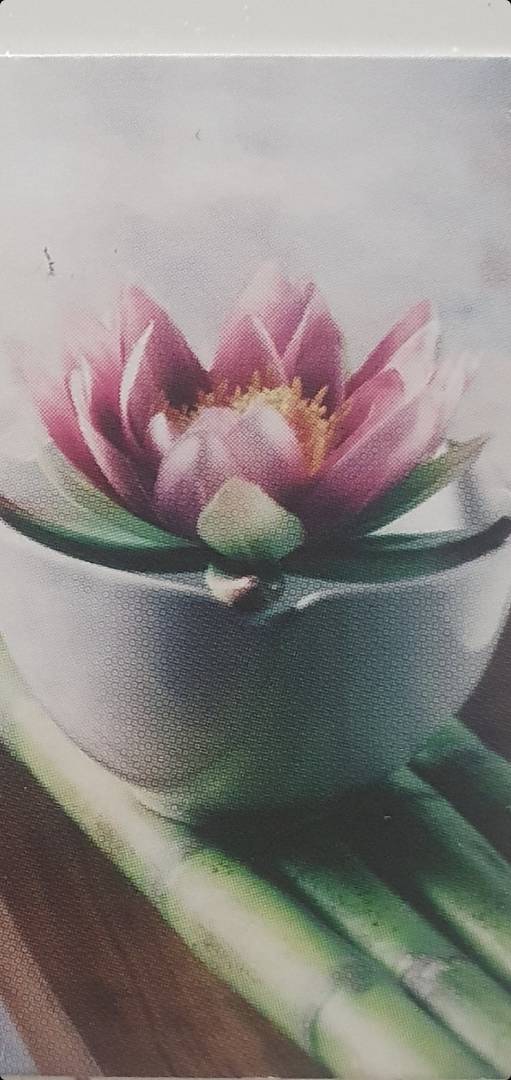 Ostéopathe à domicile La Crau