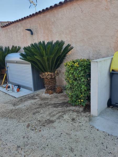 Paysagiste pour création de jardin méditerranéen près de Toulon dans le Var