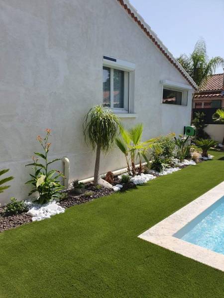 Aménagement de jardin avec plantes exotiques