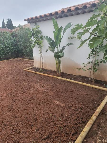 Plantation à la Crau