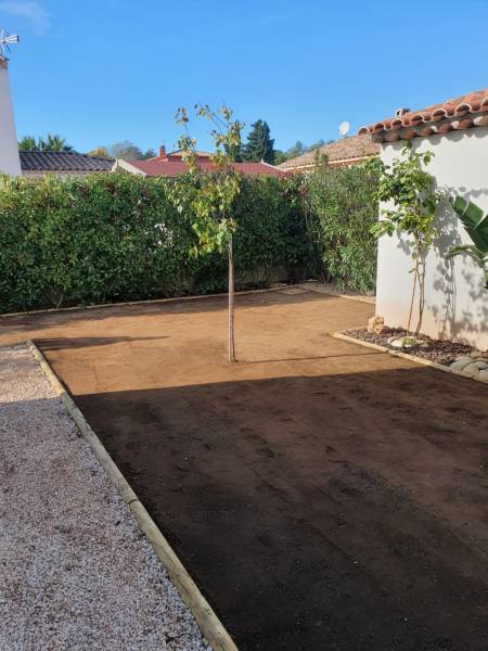 Plantation d'un stélizia Augusta et Bougainvillier à la Crau