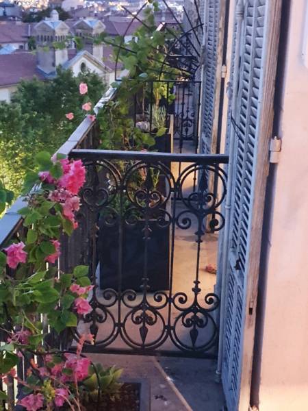 Livraison et plantation sur une terrasse en centre ville de Toulon