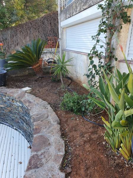 Qui contacter à Toulon pour végétaliser un espace piscine ?