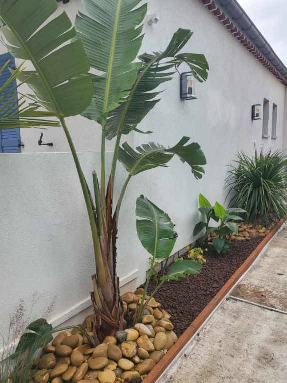 Aménagement paysager de pourtour de maison à Hyères 83400