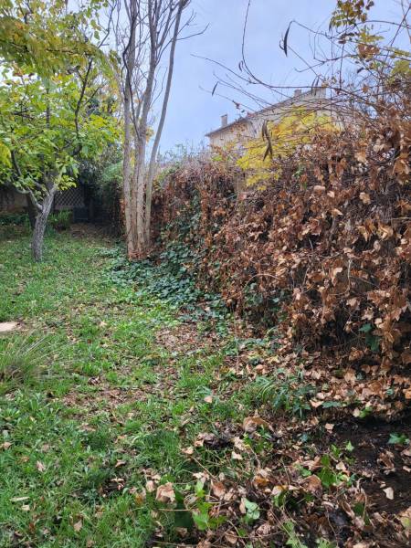 Devis pour planter une haie fleurie persistante en laurier rose à Hyères 83400