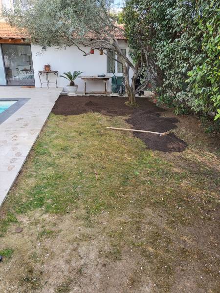 Pose de pelouse naturelle en rouleau pour plage de piscine à Toulon Var