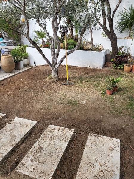 Pose de pelouse naturelle en rouleau pour plage de piscine à Toulon Var