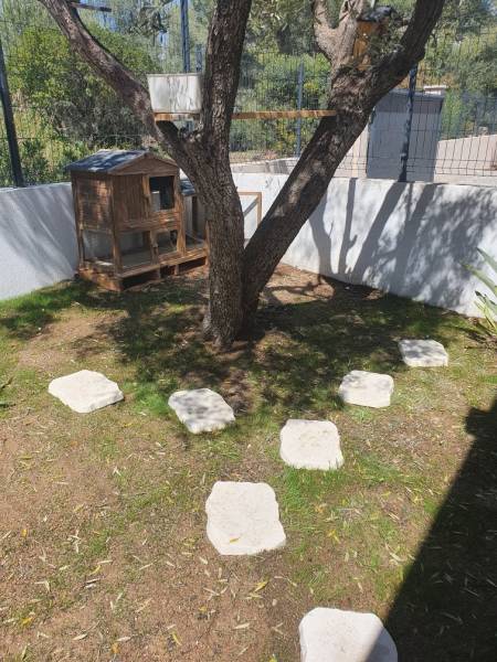 Aménagement extérieur pour lapin à La Garde Var