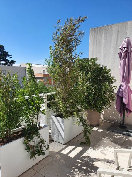 Végétalisation de terrasse sur la Valette du Var