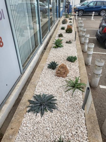 Nos prestations sur le secteur de Solliès-Pont proche La Farlède