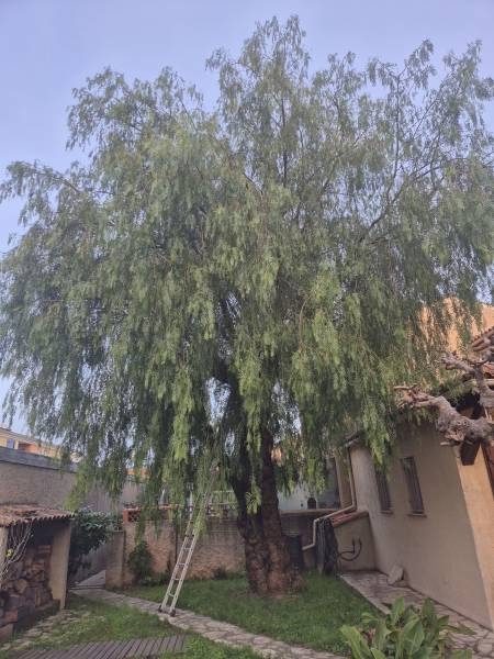 Nos prestations sur le secteur de Solliès-Pont proche La Farlède