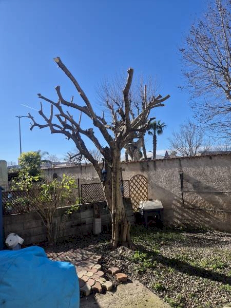 Nos prestations sur le secteur de Solliès-Pont proche La Farlède