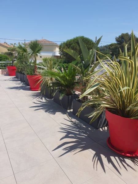 Notre zone d'activité pour ce service Création et aménagement d'un massif méditerranéen avec olivier à Bormes-les-Mimosas en Provence